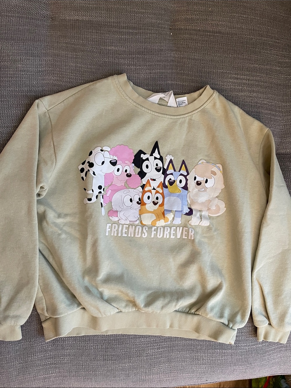 H&M Bluey Sweatshirt size 8/10